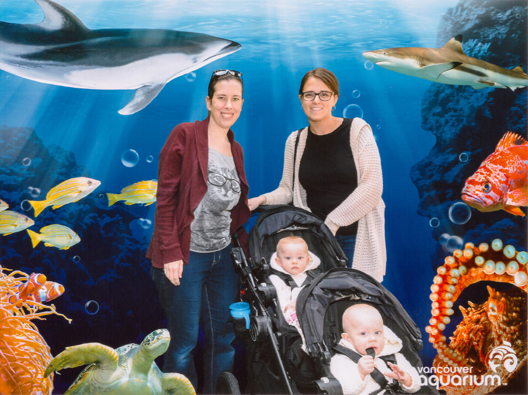 Spent an afternoon at the Vancouver Aquarium, and just had to get one of their cheesy photos.