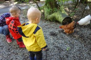 Addison and Colin hanging out with the chickens.