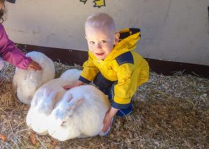 Colin really likes squeezing and feeding the bunnies.
