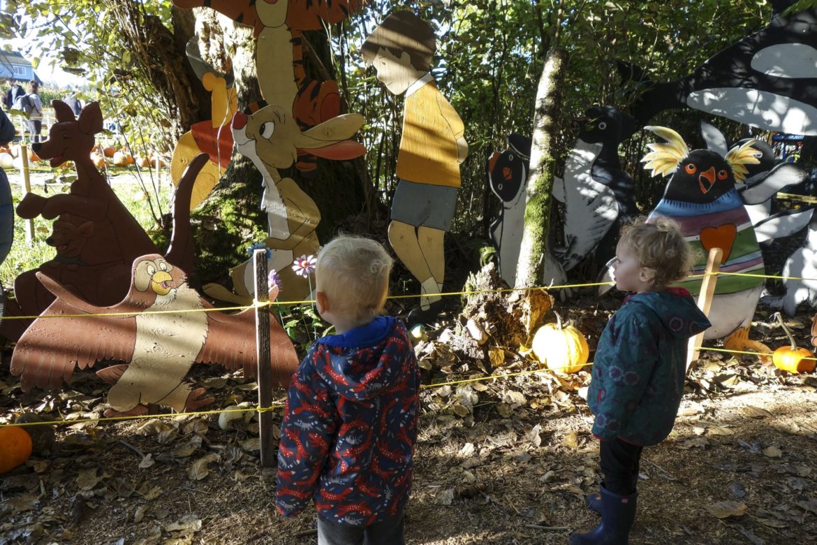 The pumpkin patch has lots to do and see, including a fully decorated forest area complete with all kinds of cartoon themed areas...