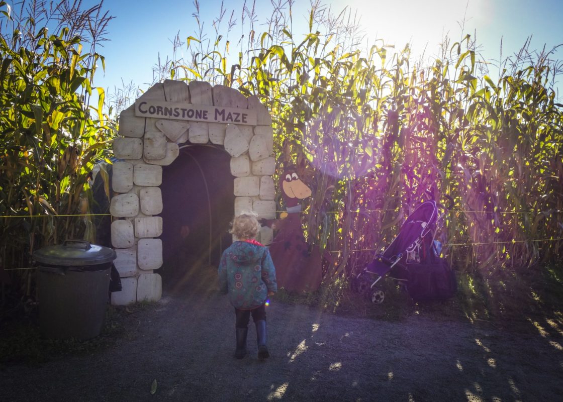 The kids loved the corn maze; I wish we had more time to play in there, but this tunnel going into the maze was pretty cool.