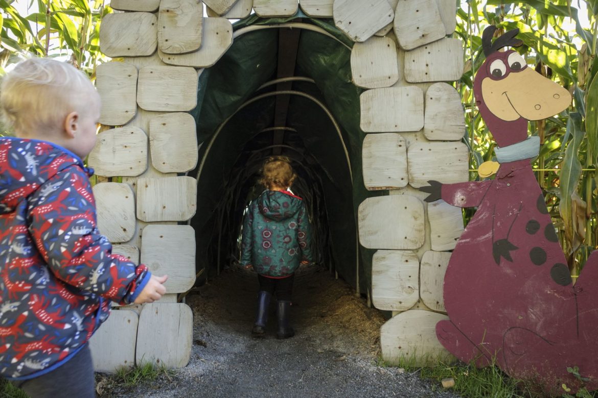 The kids loved the corn maze; I wish we had more time to play in there, but this tunnel going into the maze was pretty cool.