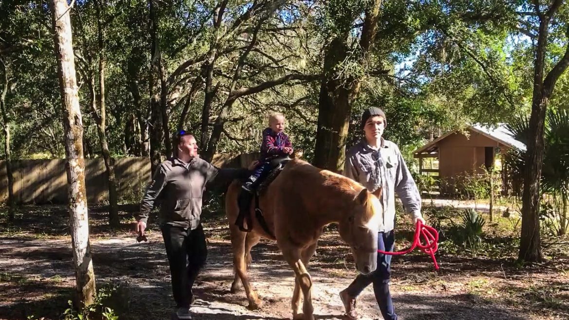 Colin and Addison were absolutely ecstatic about the horse rides.