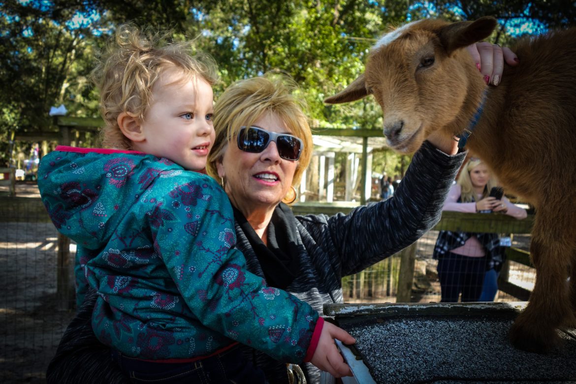 The petting zoo is always a big hit... They loved walking in the little goats pen, and playing with them on the roof of their shelter.