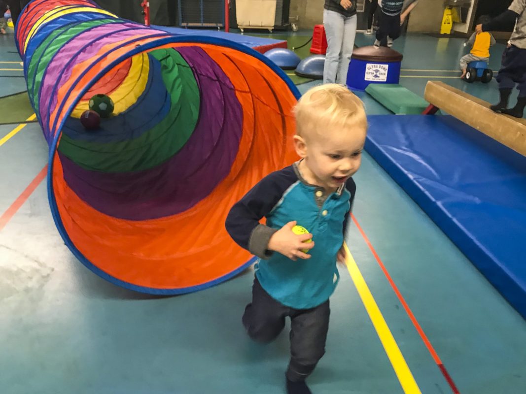 Colin runs through the big hoop with his tennis ball—not sure why he loves the small tennis balls when he has a full selection of more than 30+ other balls, but this is always his choice.