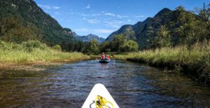 Widgeon Creek Paddle