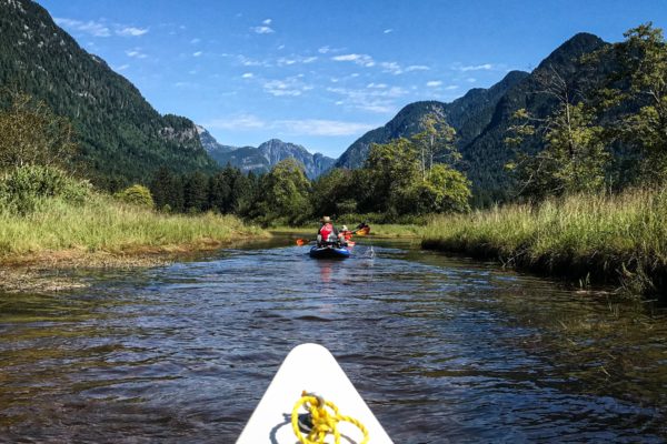 Widgeon Creek Paddle